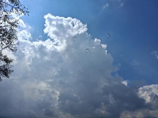 عکس الهادی