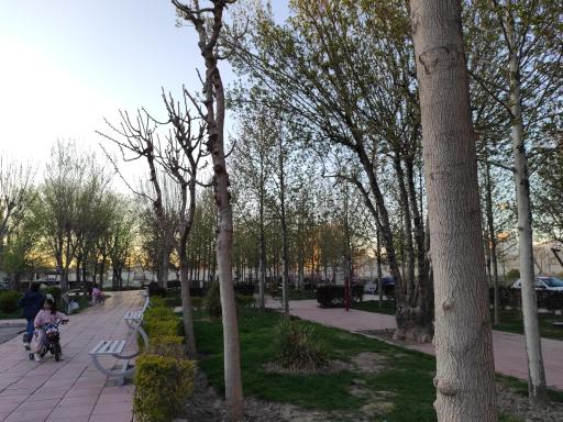 عکس پارک ملک