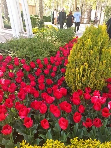 عکس پارک ملک