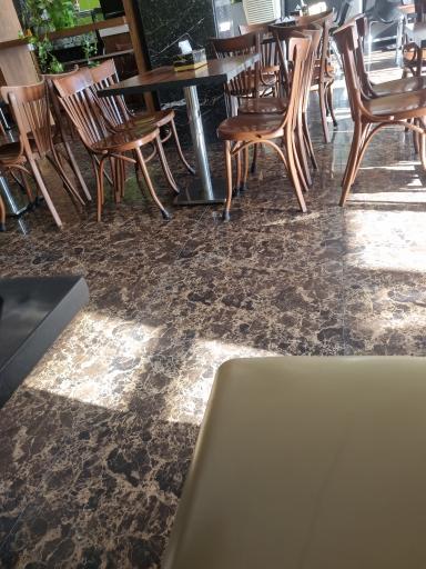 عکس فینا فود