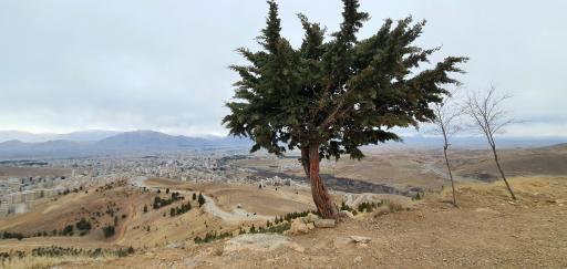 عکس جاده پیاده روی پارک سراب قنبر
