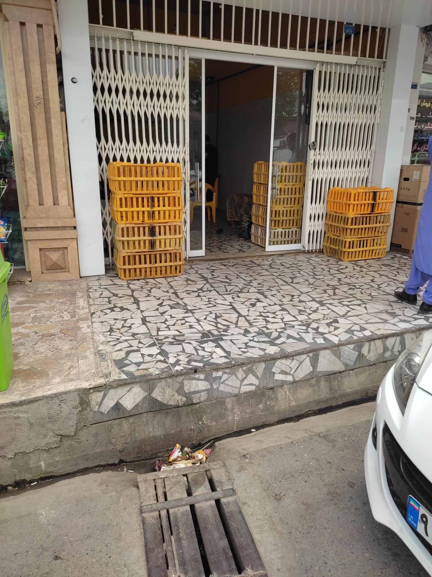 عکس مرغ زنده بابل 