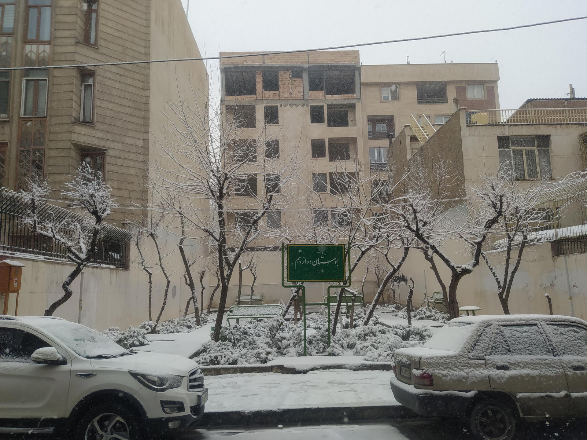 عکس بوستان دوازدهم