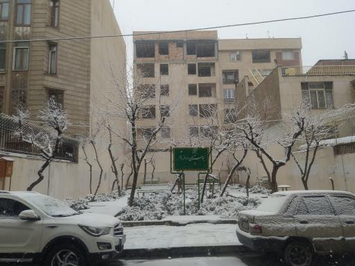 عکس بوستان دوازدهم