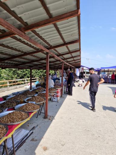 عکس بازارهای هفتگی رامسر