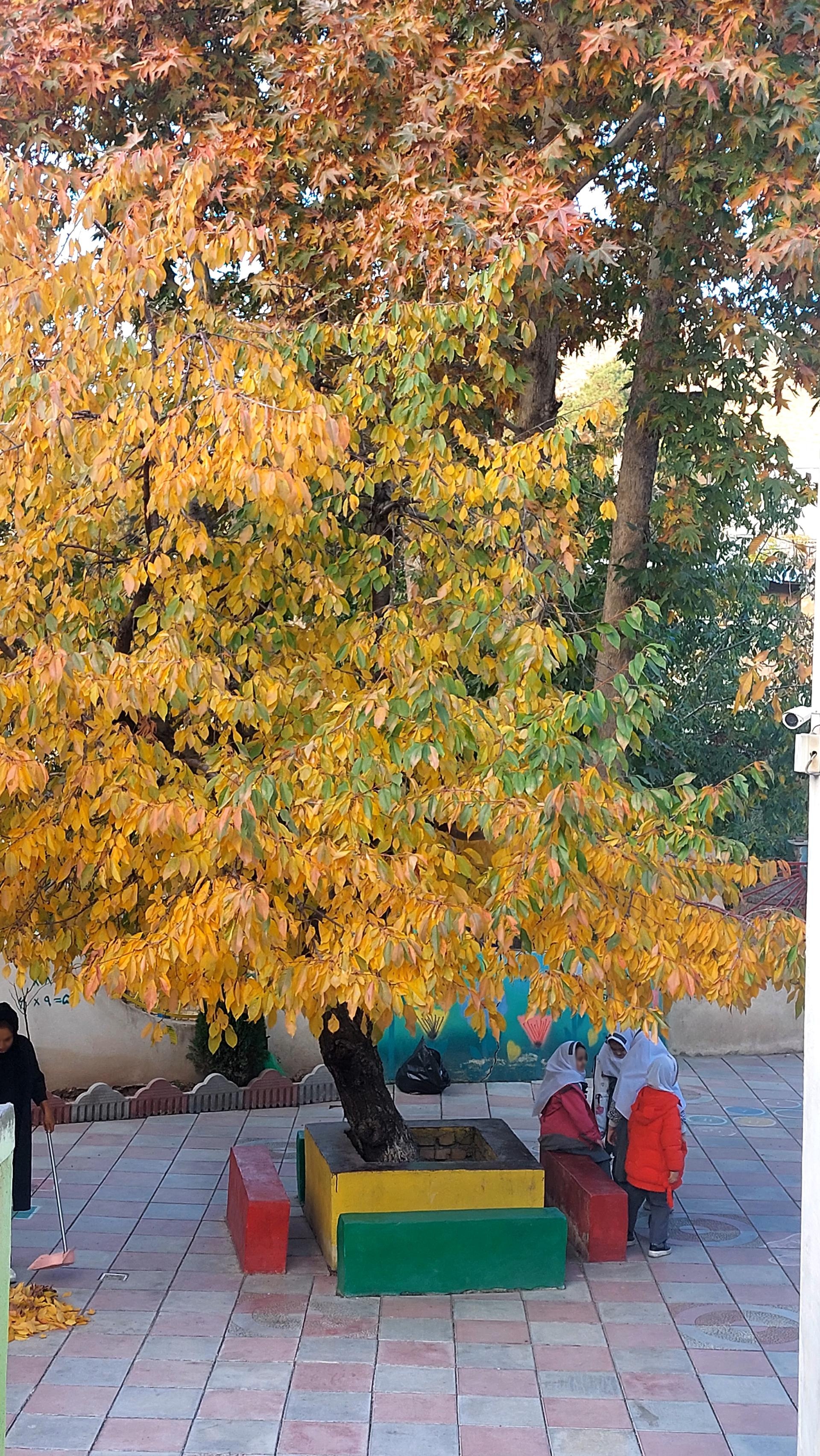 عکس پیش دبستانی و دبستان غیردولتی همدلان