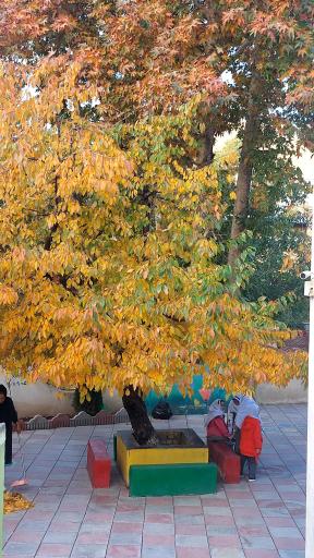 عکس پیش دبستانی و دبستان غیردولتی همدلان