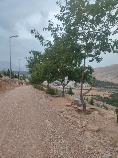 عکس بام شیراز