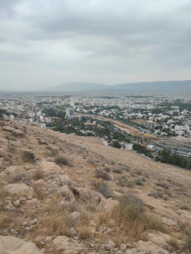 عکس بام شیراز