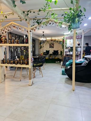 عکس میو استودیو 