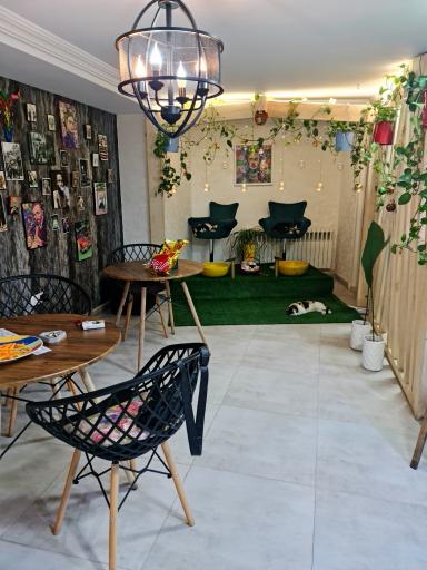 عکس میو استودیو 