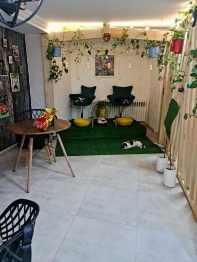 عکس میو استودیو 