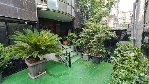 عکس میو استودیو 