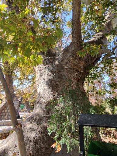 عکس آرامگاه یار محمد خان سردار مفخم شادلو