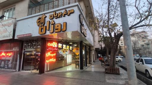 عکس مرغ بریان و کباب ترکی روژان