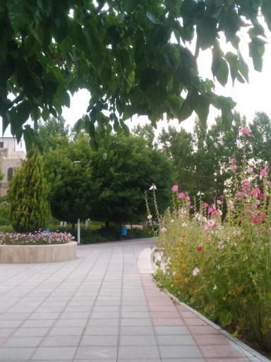 عکس بوستان بانوان پروانه