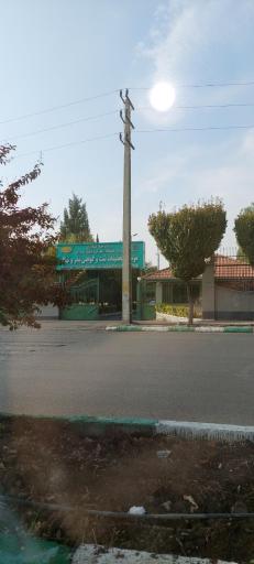 عکس موسسه تحقیقات ثبت و گواهی بذر و نهال