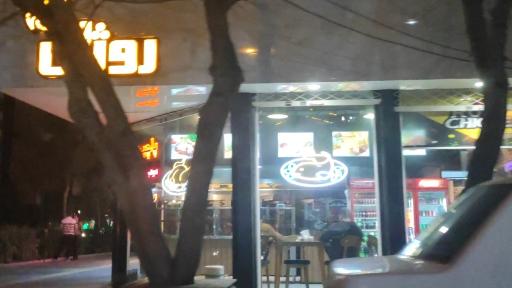 عکس مرغ بریان و کباب ترکی روژان