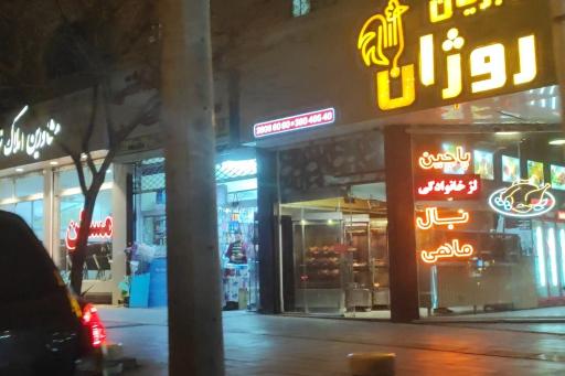 عکس مرغ بریان و کباب ترکی روژان