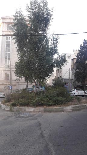 عکس میدان بنفشه