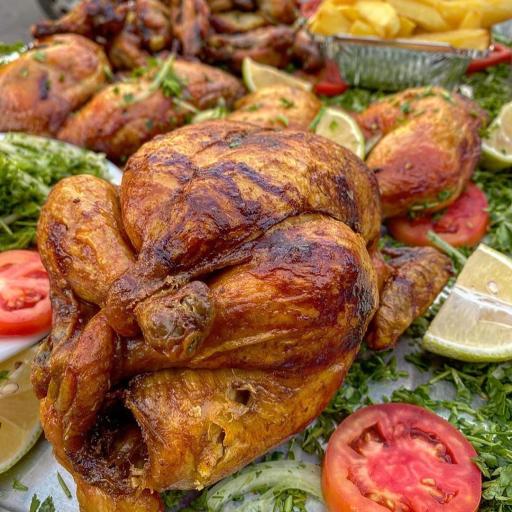 عکس مرغ بریان و کباب ترکی روژان