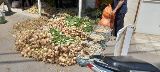 عکس گوهردان