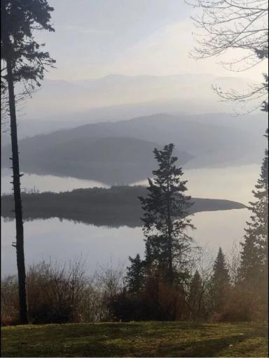 عکس جنگل لفور