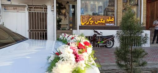 عکس آتلیه فیلم و عکس پرسا