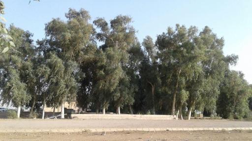عکس قدمگاه امام حسن مجتبی (ع) شچاخ