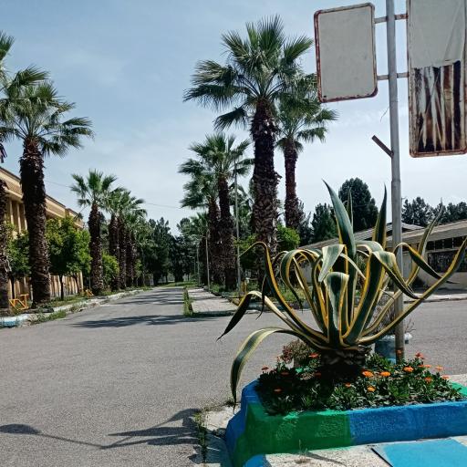 عکس دانشگاه پیام نور گنبدکاووس