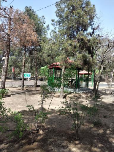 عکس پارک جنگلی افرا