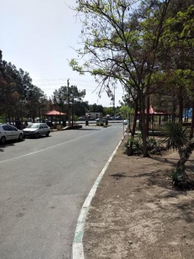 عکس پارک جنگلی افرا