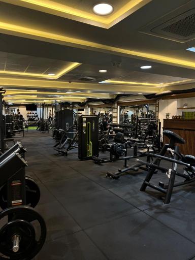 عکس باشگاه بدنسازی یونیک