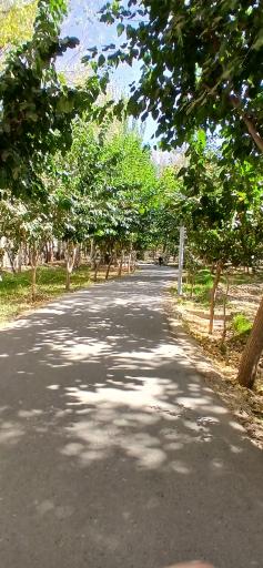 عکس باغ فاتح