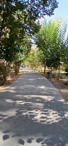 عکس باغ فاتح