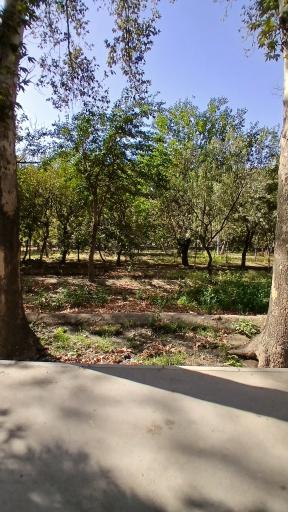 عکس باغ فاتح