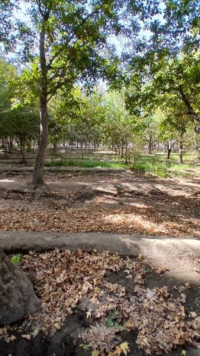 عکس باغ فاتح