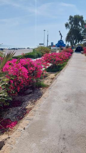 عکس بوستان سینما دریا