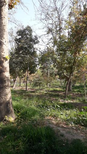 عکس باغ فاتح