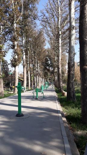 عکس باغ فاتح