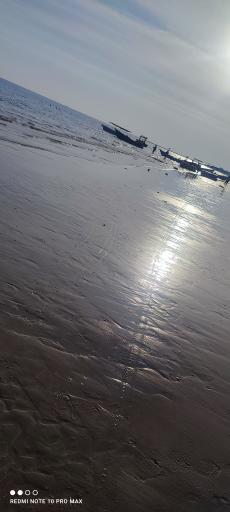 عکس بوستان سینما دریا