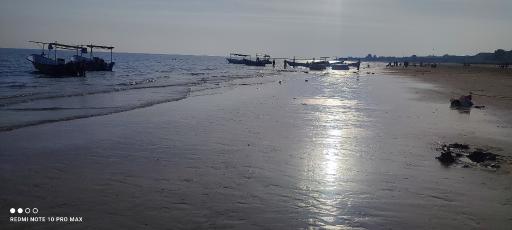 عکس بوستان سینما دریا