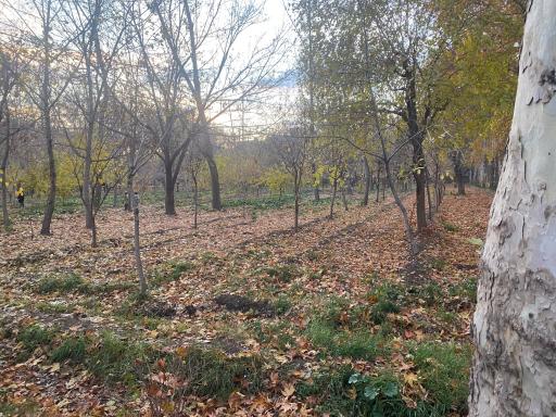 عکس باغ فاتح