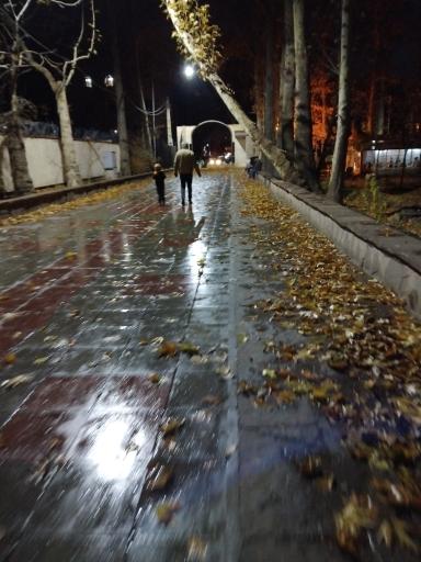 عکس باغ فاتح