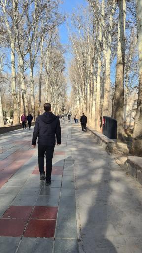 عکس باغ فاتح