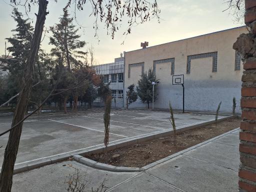 عکس زمین بسکتبال خیابانی