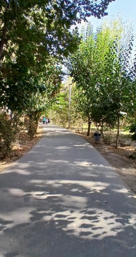 عکس باغ فاتح