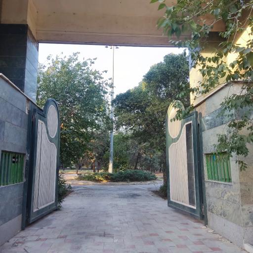 عکس پارک جنگلی افرا