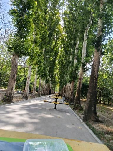 عکس باغ فاتح