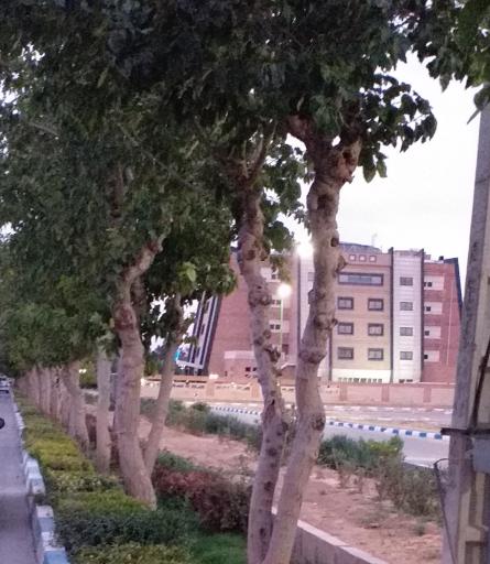 عکس هتل اطلس